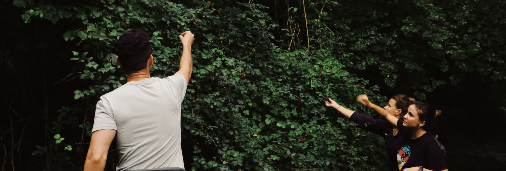 FEM Coliving-Pirineo-Coliving-hoy-Rural