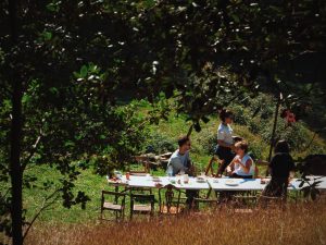La reunión de los miércoles: cómo organizamos la convivencia en FEM